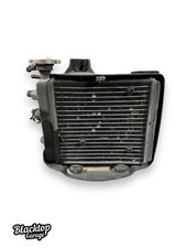 OEM 2009 Aprilia Scarabeo 200