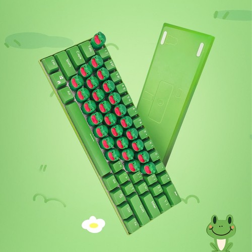 Creativity little frog - creativity,