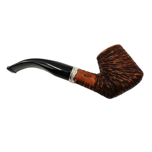 Pipa gasparini vega rusticata - vega,