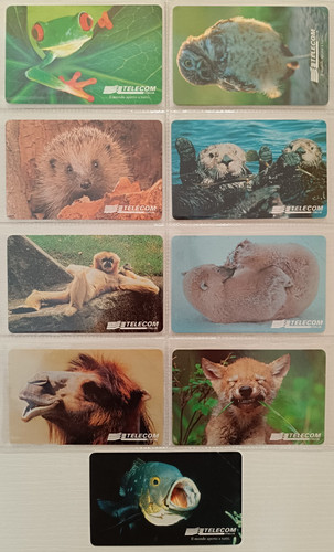 Animali per modo - di,