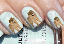 60x Water decals CANE CHOW