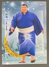 Atami Fuji Sumo Rikishi