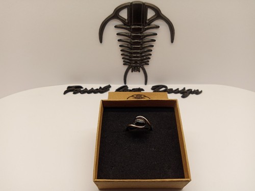 Fossil wood anello art aw - anello,