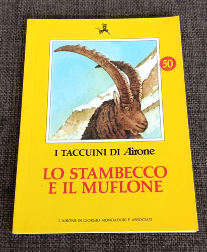 Taccuini airone 50 - i,