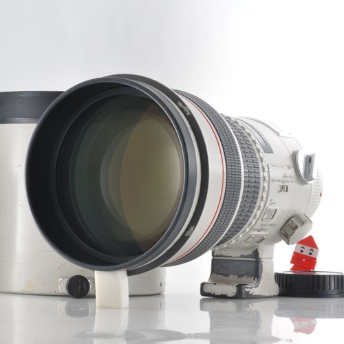 Canon 300mm l usm - f2.8,