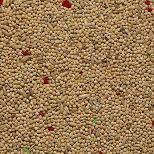 Contadino antichi becchimi - antichi,