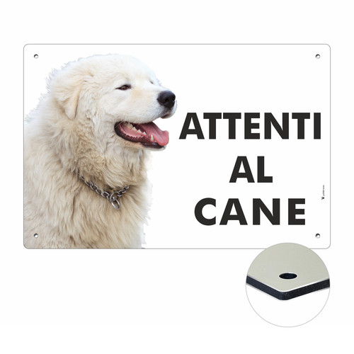 Pastore maremmano attenti - maremmano, al