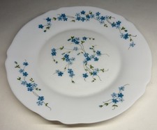 Set Di 6 Grandi Piatti Piani