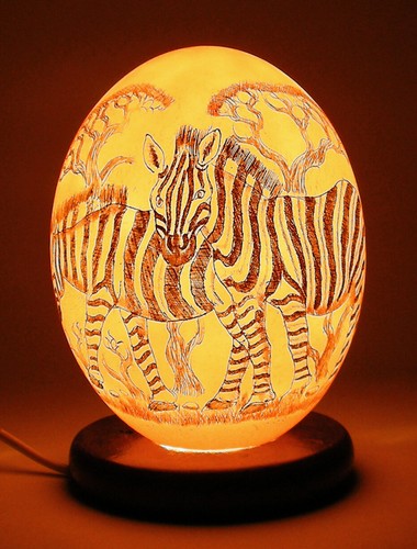 Zebra lampada uovo struzzo - lampada, di