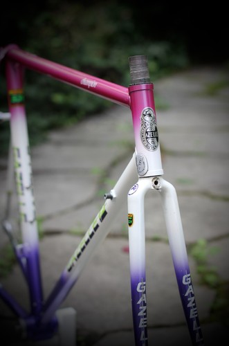 Telaio speciale gazelle - speciale,