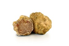 Tartufo bianco intero - tartufo,