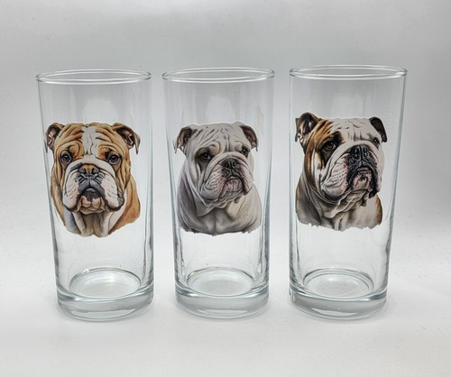 English bulldog dog - english, breed