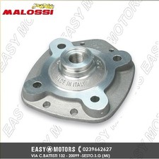 MALOSSI TESTA D. 47.6