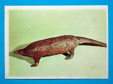 Figurina Panini-ANIMALI DI TUTTO IL MONDO 1965-n.169-PANGOLINO-rec