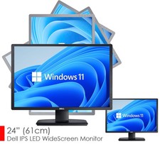 LED IPS PROFESS 24" (61 cm)