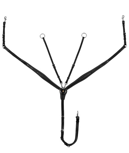 Briglia dressage anatomica - briglia, da