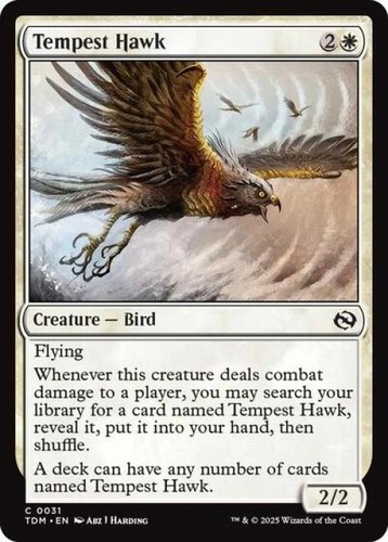 Falco della tempesta quasi - ~,