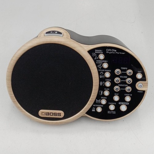 Boss 01s rhythm partner - boss,