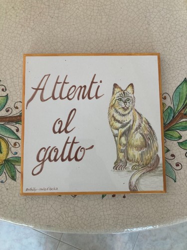 Attenti gatto maiolica - attenti,
