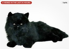 ~❤️~GATTO persiano nero