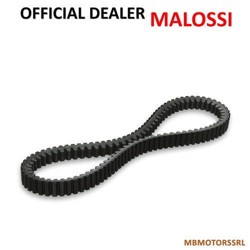 6118987 malossi cinghia - malossi,