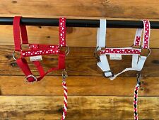 Cavezza Hobby Horse con