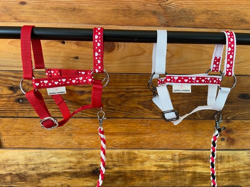 Cavezza hobby horse - cavezza, con