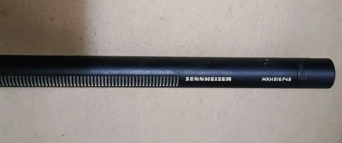 Sennheiser mkh 816 p48 - mkh,