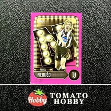 PAVEL NEDVED /250 ROSA TOPPS