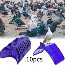 10 Supporti per Piccioni