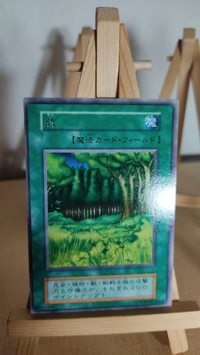 Foresta - yu-gi-oh!,