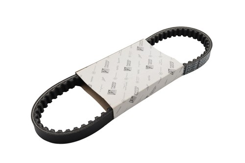 Cinghia trapezoidale piaggio - cinghia,