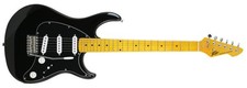 Peavey Raptor® Custom Black