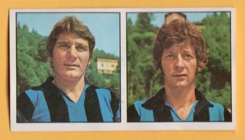 Figurina calciatori panini - figurina,