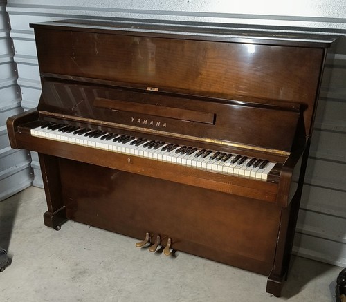 Beautiful yamaha walnut - yamaha,