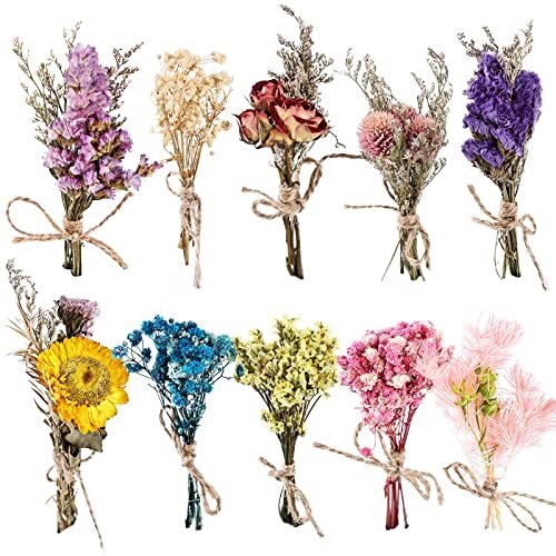 Mazzi fiori secchi - 10,