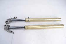 Forcelle anteriori BMW F 800