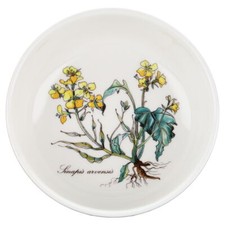 Insalatiera - Sinapis arvensis