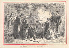 CHROMO PETIT CANON DU PALAIS ROYAL - 27957