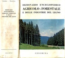 DIZIONARIO ENCICLOPEDICO