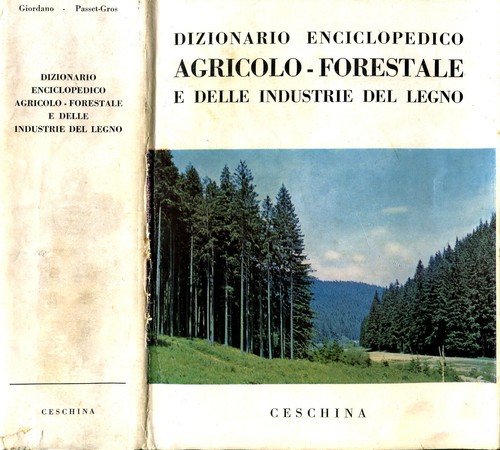 Dizionario enciclopedico - dizionario,