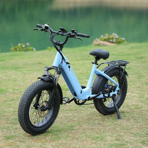 Fafrees bike bicicletta - fafrees,