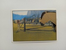 FIGURINA SPIRIT CAVALLO