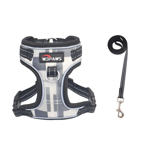 Set imbracatura guinzaglio - set,