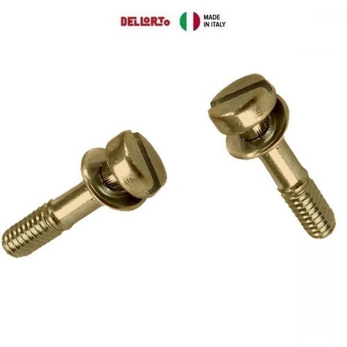 Coppia vite fisaggio vaschetta - coppia,