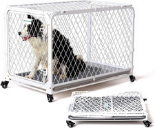 Gabbia pieghevole per cani - gabbia,