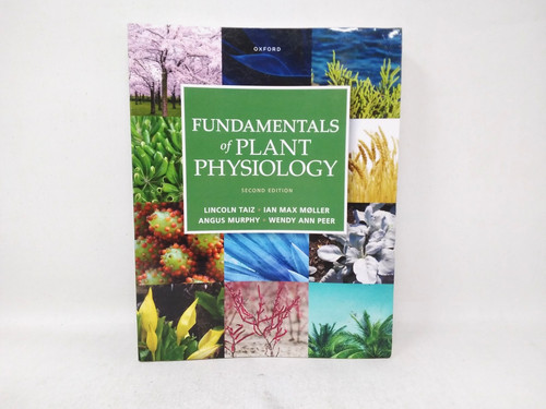 Fundamentals plant - of,