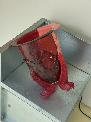 Vaso amazzonia corsi fish - vaso,