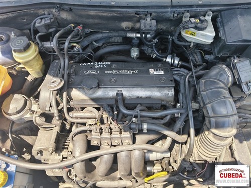 Motore ford focus 16v - motore,