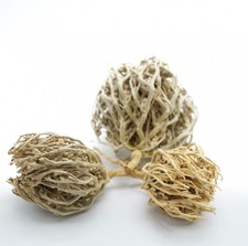 Rosa di Gerico (Fiore di Maria) 100g | Anastatica hierochuntica كف مريم